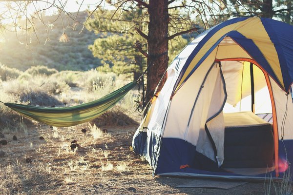 Quels sont les équipements indispensables pour un camping en région de forêt tempérée?